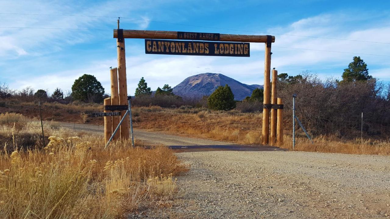 Canyon View Family Cabin, Deck, Tv Room, Games, Bbq, Campfire モンティセロ エクステリア 写真